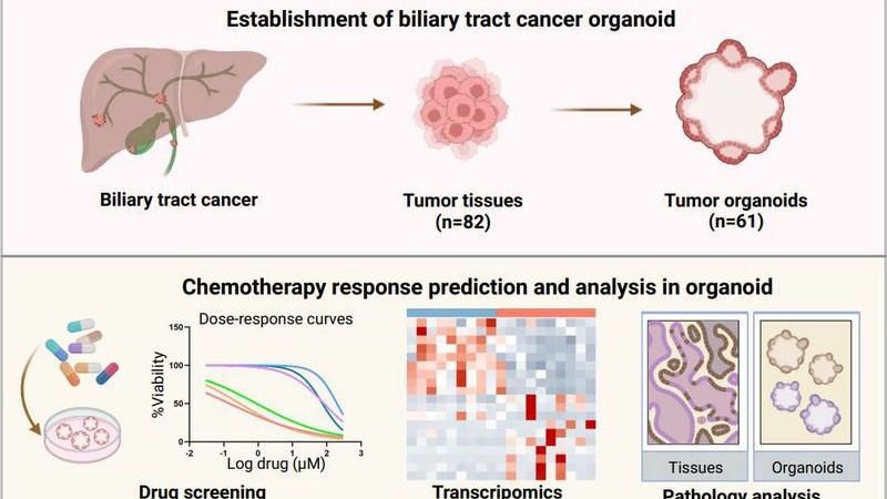 ��ҳ|ng������Ϸ�й����Źٷ���վ