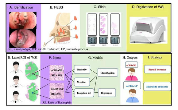 ��ҳ|ng������Ϸ�й����Źٷ���վ