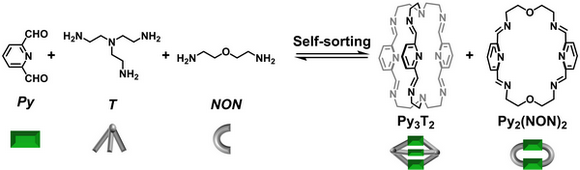 5556A1F41B190EF826E89537CDA_3710C273_BE0E.png?e= Ê×Ò³|ngµç×ÓÓÎÏ·Öйú¼¯ÍŹٷ½ÍøÕ¾