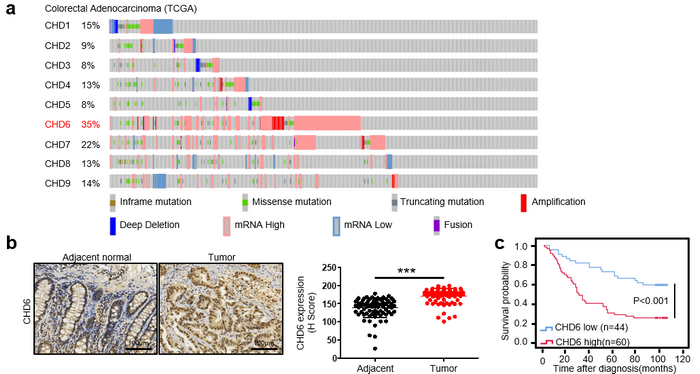 D1AF79371DF707464792E8D2C75_A0E57383_2BE0B