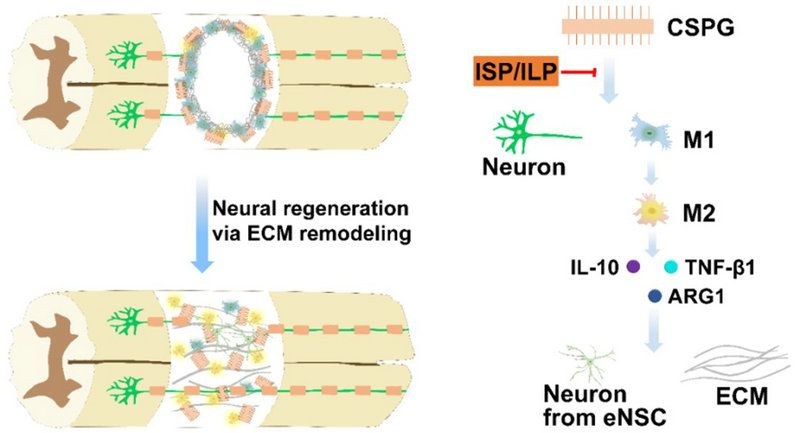 BB33E1F5A300D95078969DD279F_6F65516B_A0F6 BB33E1F5A300D95078969DD279F_6F65516B_A0F6
