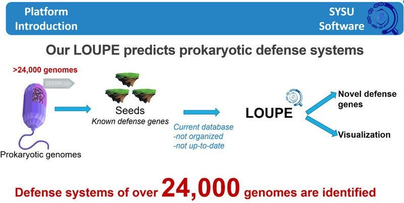 EDDCC0E493687CBC450F4C752D9_A1842C3D_CA6D