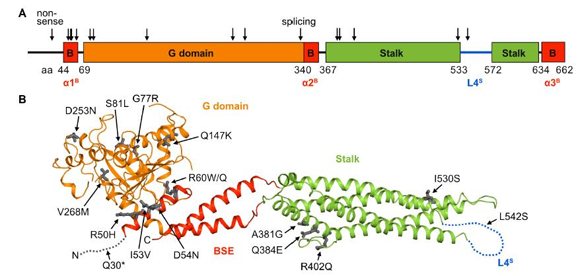 ��ҳ|ng������Ϸ�й����Źٷ���վ