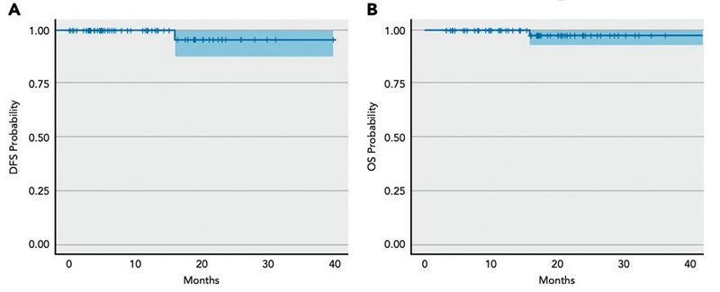 F1A57A7D45EE56866D473894D4C_97B6D733_5FD8