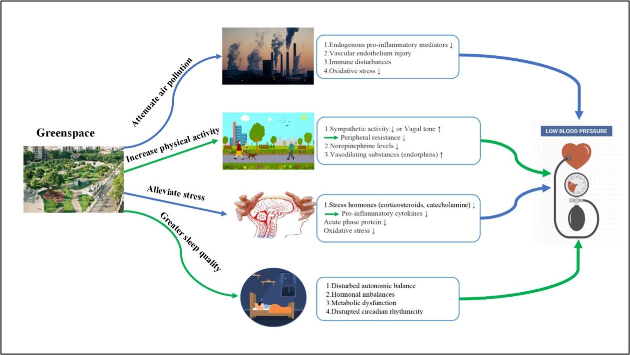 C68A42EED6E5B4B20F8EACFC6B7_0C9ED070_18B07 C68A42EED6E5B4B20F8EACFC6B7_0C9ED070_18B07
