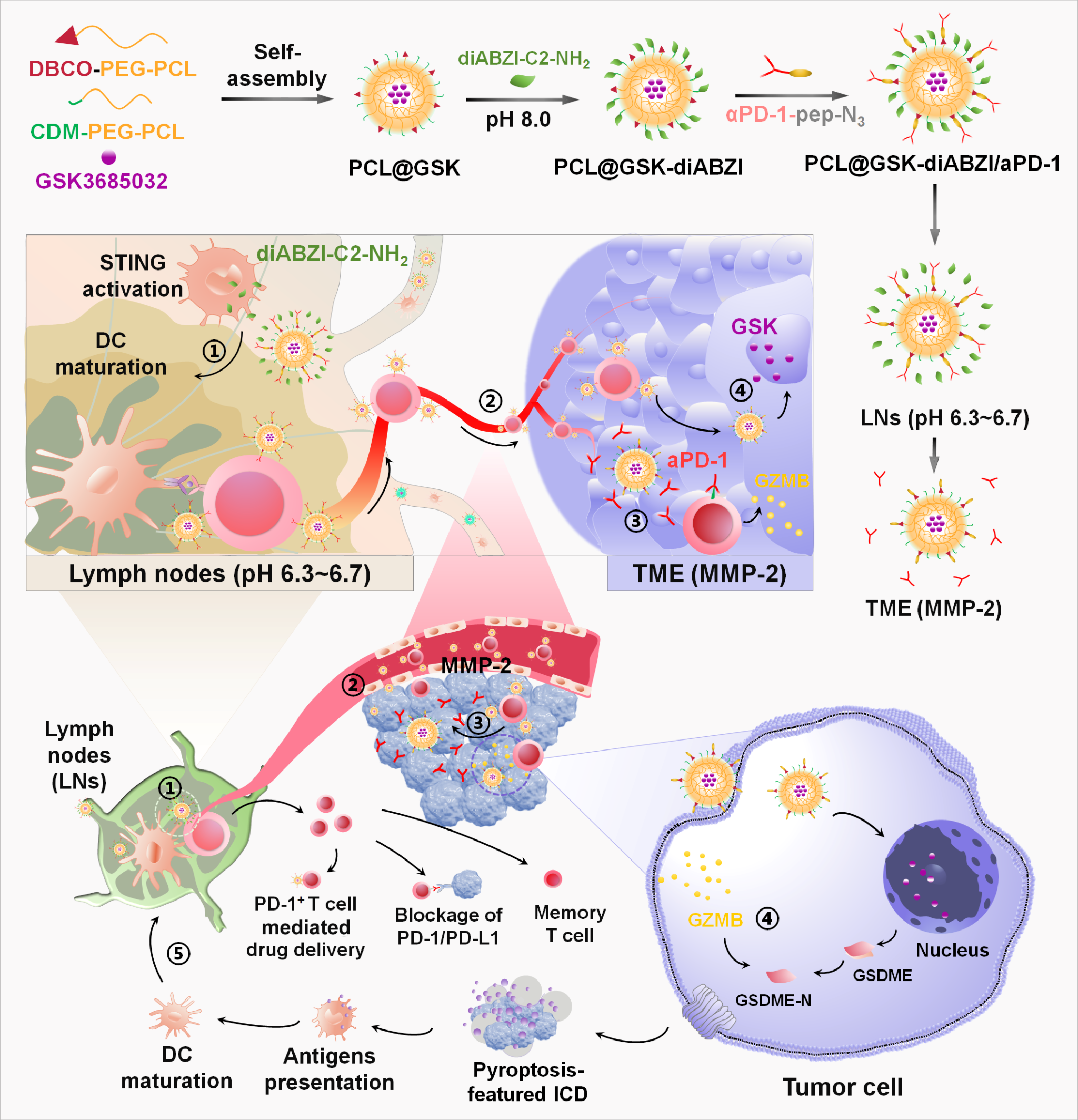 4EB754A46E7C7BE3EF29677948E_1920D2C6_1B3418