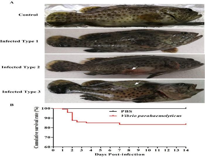 5FEDCE4D3093037154A1E79072F_1D0B3410_F1B9