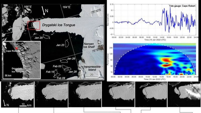 ��ҳ|ng������Ϸ�й����Źٷ���վ