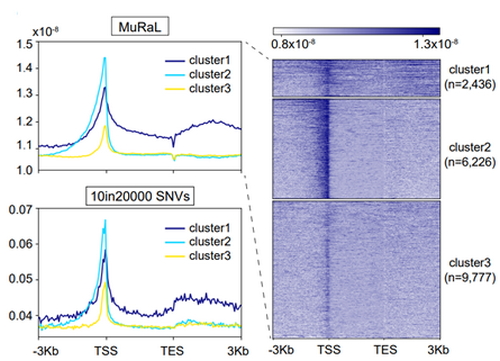 53C3C407C9EE31000D35FB844C3_977C9F4C_2982D