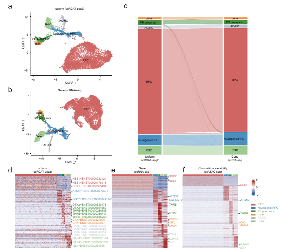��ҳ|ng������Ϸ�й����Źٷ���վ