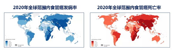 ��ҳ|ng������Ϸ�й����Źٷ���վ