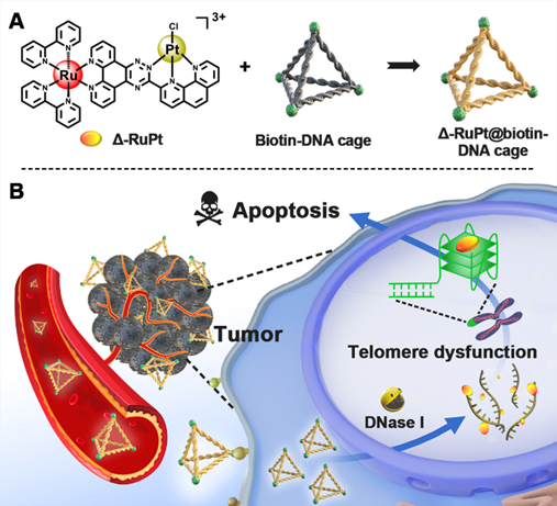 25DC7CD3C57FBF97741D02F3F50_256B5F43_52BDD