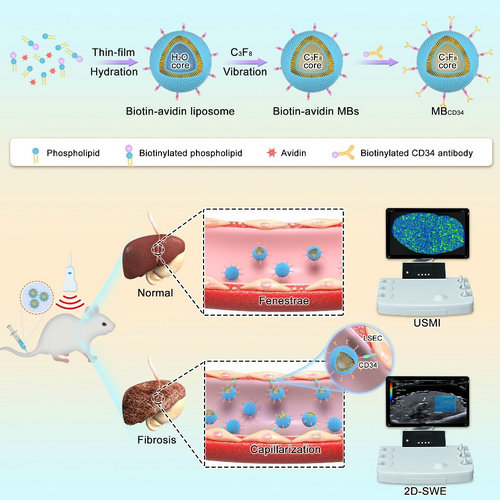 9F4408800B91B62D96C3F0DBB80_FEAB32D6_F858 9F4408800B91B62D96C3F0DBB80_FEAB32D6_F858