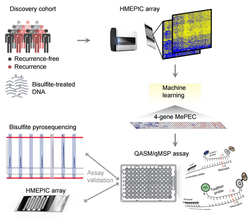 4B54165E315F8964E05B8FC58D7_CC881B02_24A0D 4B54165E315F8964E05B8FC58D7_CC881B02_24A0D
