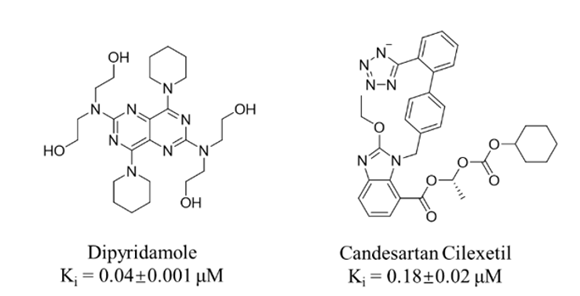 ��ҳ|ng������Ϸ�й����Źٷ���վ