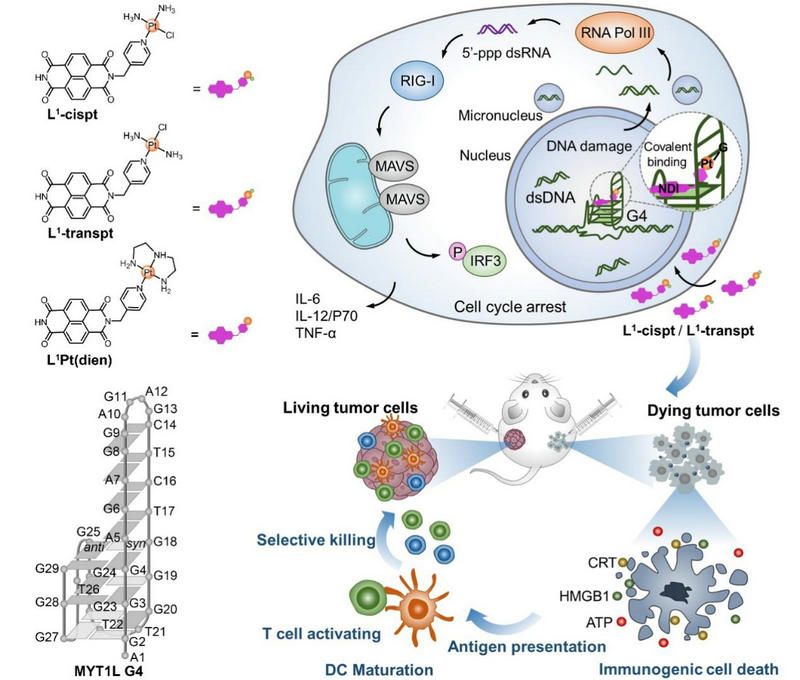 D091D51AD24FC13798150BC37AD_69600235_14360