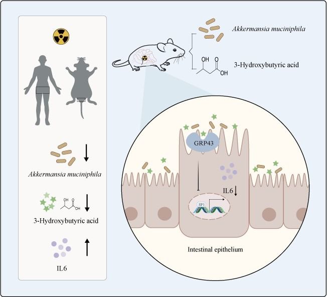 ��ҳ|ng������Ϸ�й����Źٷ���վ