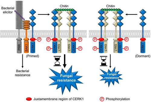 ��ҳ|ng������Ϸ�й����Źٷ���վ