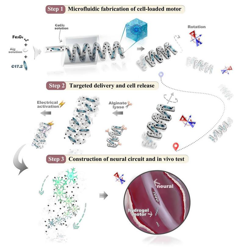 0658455FC17F297233279E3F1B0_CE875D34_12194