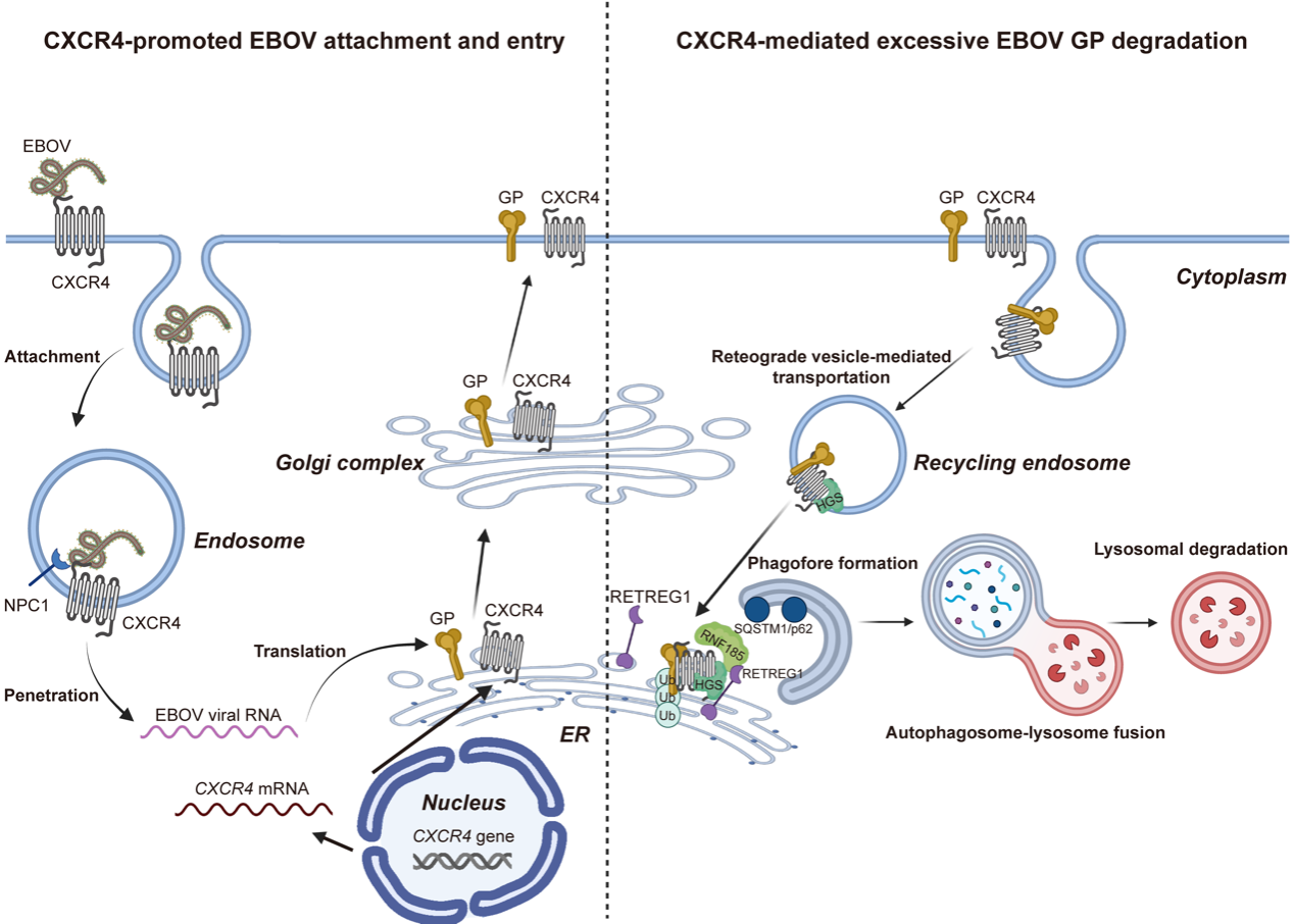 E1A8BB5429A2FF269C4DBA51744_193E0A12_63DC2 E1A8BB5429A2FF269C4DBA51744_193E0A12_63DC2