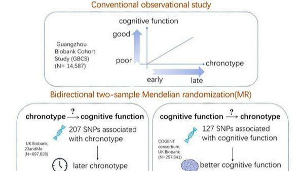 ��ҳ|ng������Ϸ�й����Źٷ���վ