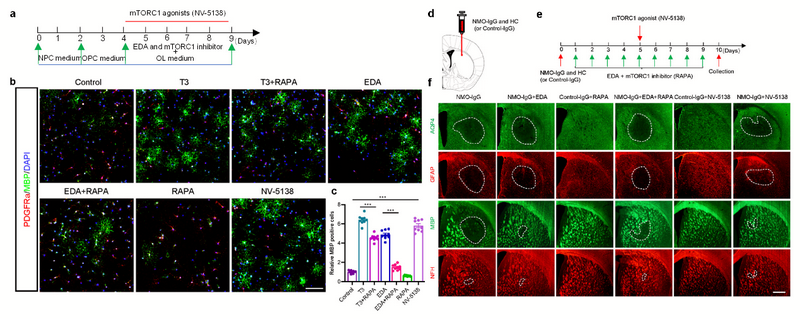 675870A8C4B0EE8BD3031E0BC8E_1AE59452_50AA1