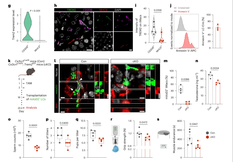 6F89F3021C2234561AB506735EC_E6717878_3B89A
