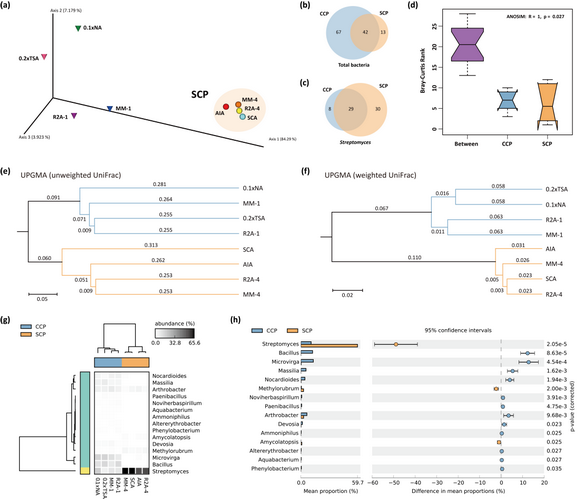 ��ҳ|ng������Ϸ�й����Źٷ���վ