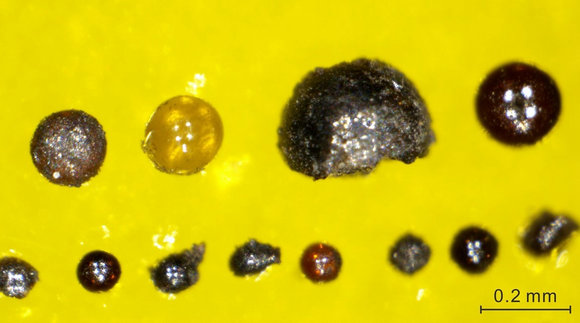 A902563BDCBD087BE03BBD03D8C_CFAF5161_8DFD.jpg?e= Ê×Ò³|ngµç×ÓÓÎÏ·Öйú¼¯ÍŹٷ½ÍøÕ¾