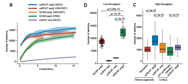 DB0943ED1D7DE561C4FA6254E03_E7E3378F_6291 DB0943ED1D7DE561C4FA6254E03_E7E3378F_6291