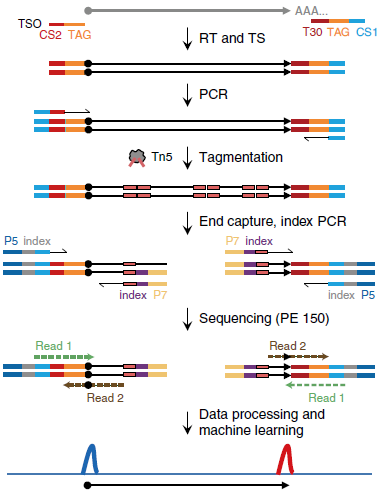 ��ҳ|ng������Ϸ�й����Źٷ���վ