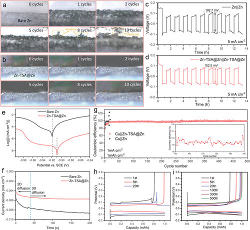 472019CEAFE6B68D0EB1B2CF235_E9E19B77_112EA 472019CEAFE6B68D0EB1B2CF235_E9E19B77_112EA