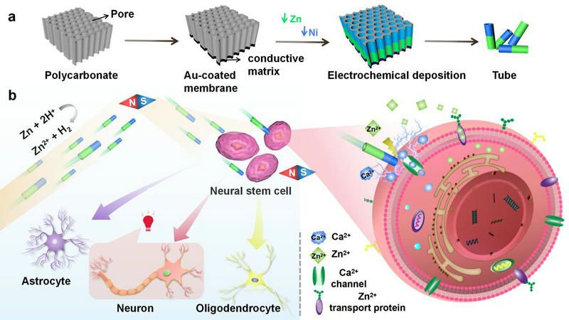 89362AF0EE8138D121D1F2F44AE_A2EBAB4C_DA03 89362AF0EE8138D121D1F2F44AE_A2EBAB4C_DA03