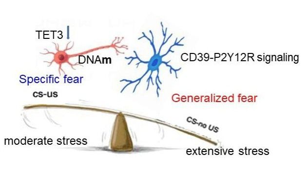 ��ҳ|ng������Ϸ�й����Źٷ���վ