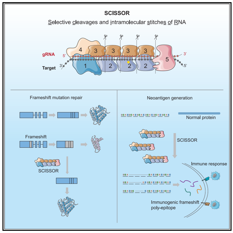 6CBF92B8A3600631DCE14D71ABF_EA3689AC_334A0 6CBF92B8A3600631DCE14D71ABF_EA3689AC_334A0