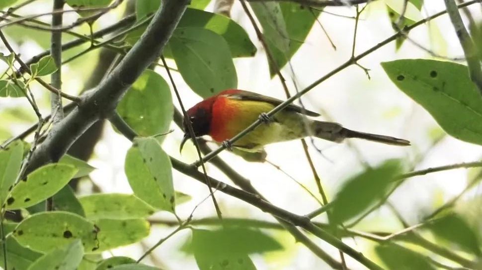 ��ҳ|ng������Ϸ�й����Źٷ���վ