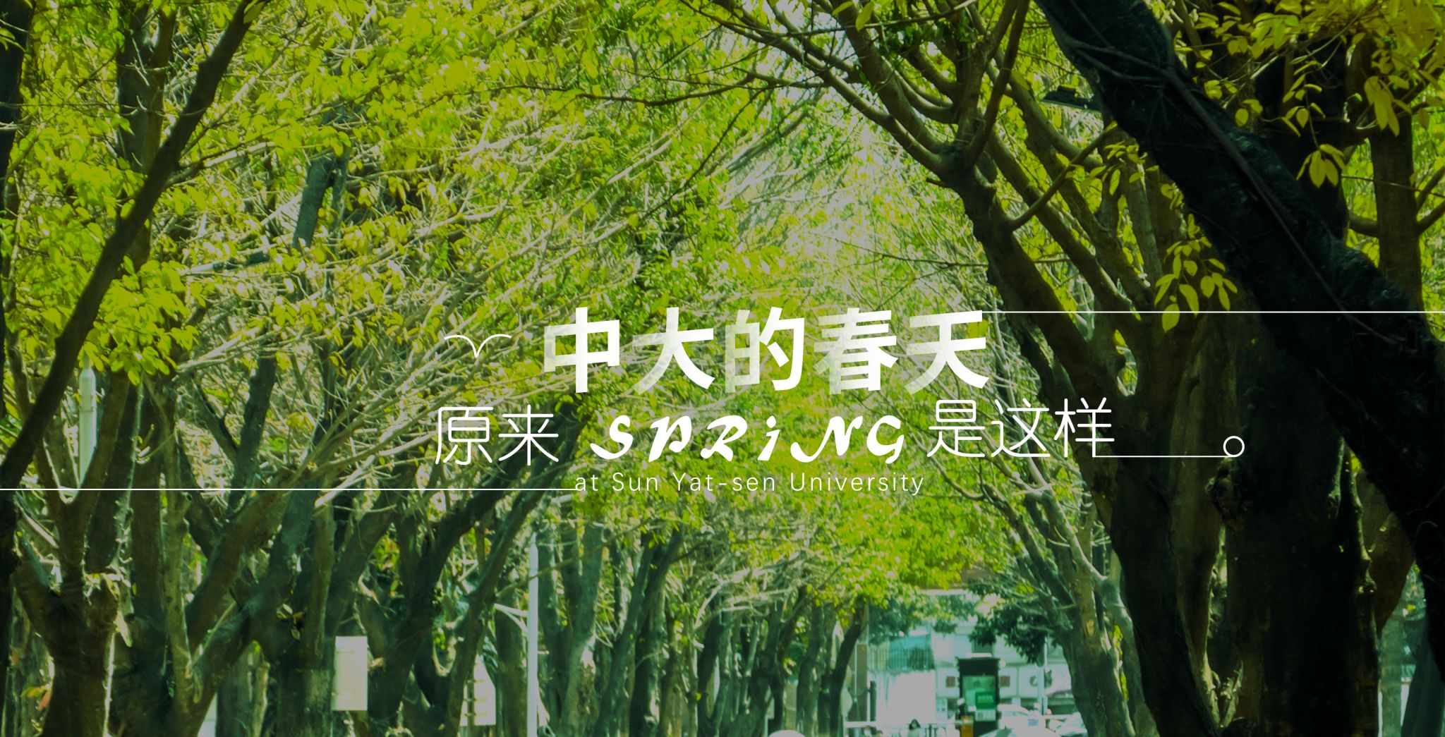 85C74BA388572D51320167580B6_43E80020_6C67B