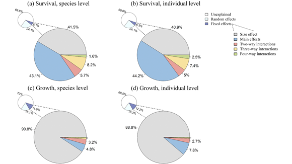 ��ҳ|ng������Ϸ�й����Źٷ���վ