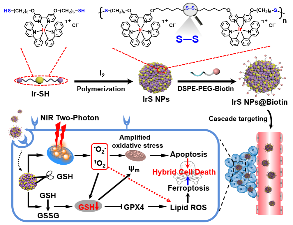 ��ҳ|ng������Ϸ�й����Źٷ���վ