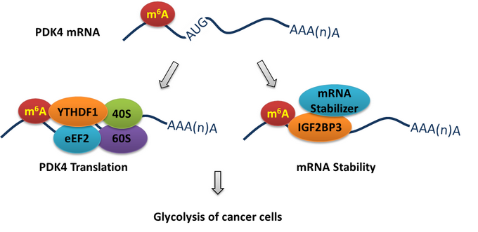��ҳ|ng������Ϸ�й����Źٷ���վ