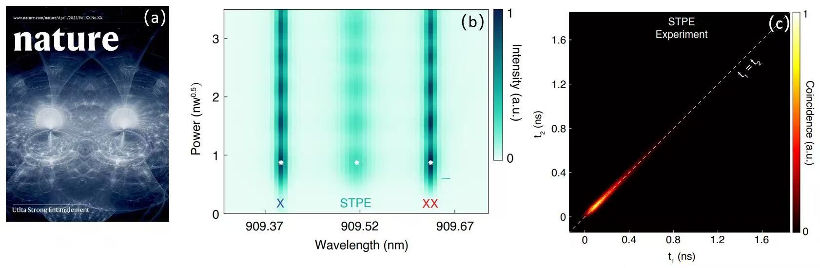 BECBB23DB18F6CBCF527BEF2299_F199F561_15D23