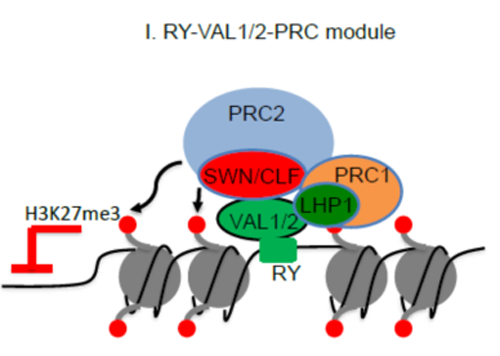 ��ҳ|ng������Ϸ�й����Źٷ���վ