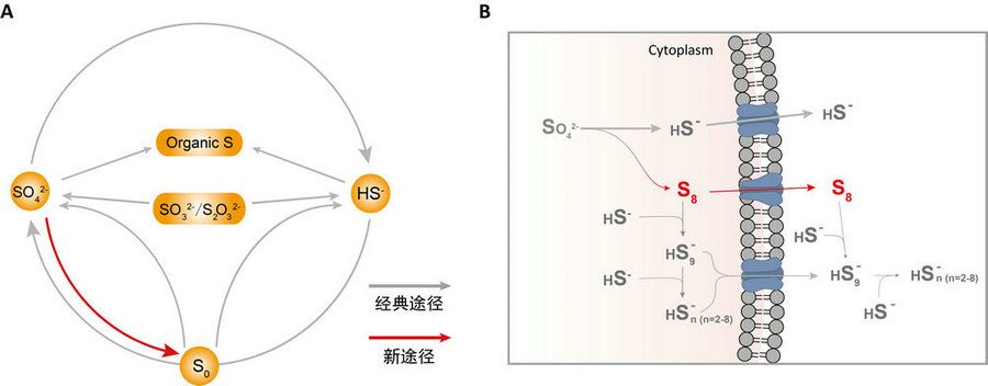 BF49BB6E4A6B629979FA8F3BA59_E68F8916_8B12 BF49BB6E4A6B629979FA8F3BA59_E68F8916_8B12