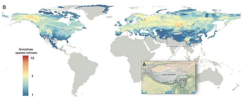 9A842668AE62D0F8C14DFC3400D_F96A3725_88F8