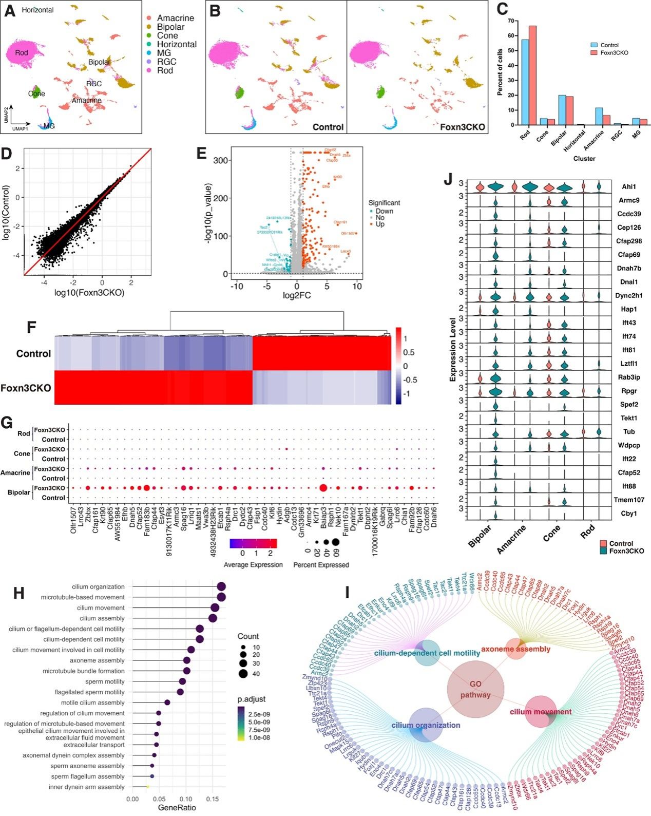 ��ҳ|ng������Ϸ�й����Źٷ���վ