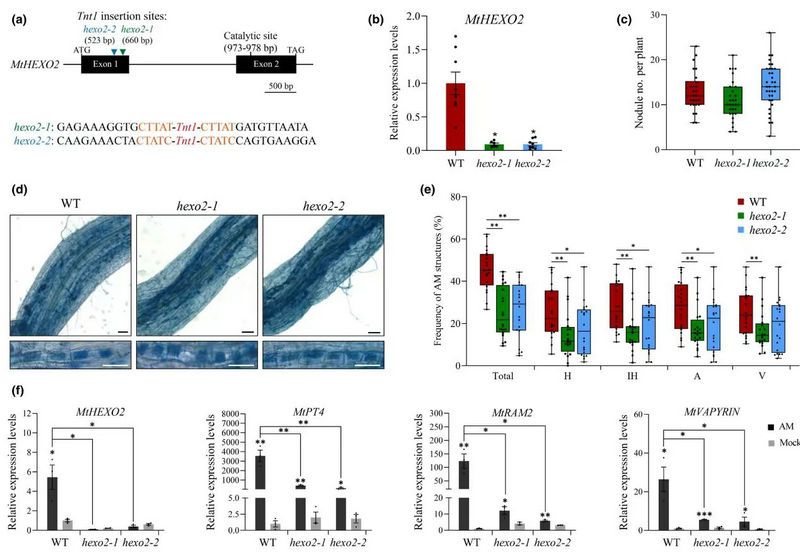 DD0E6B4A8821C3D096CD2141522_701C8A2A_125CB