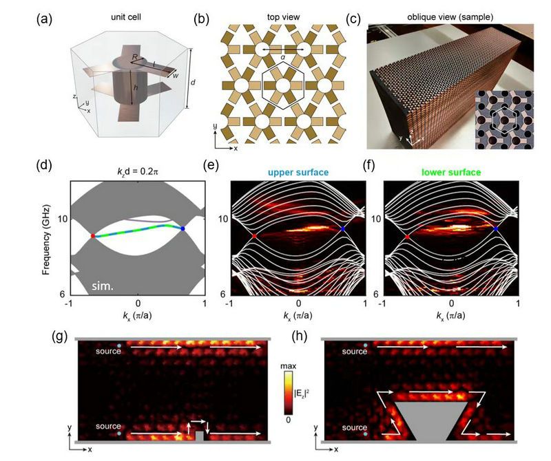 04411BA0037E2AB7EACB574D436_51C52455_18955