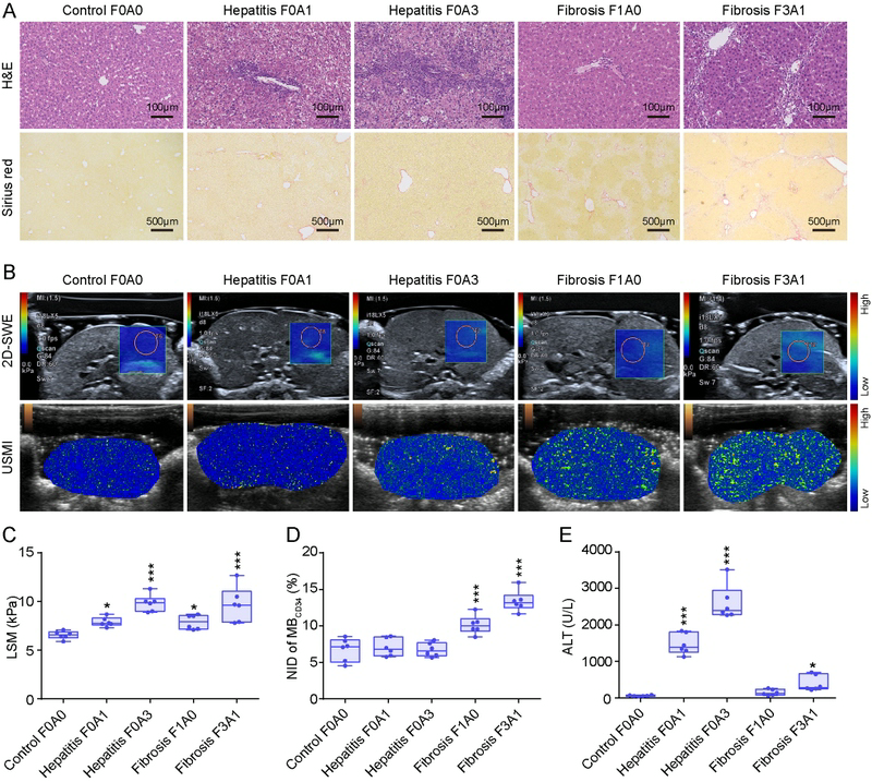 9FF9B6A57A5821210D1305713CC_894E128F_CE646 9FF9B6A57A5821210D1305713CC_894E128F_CE646