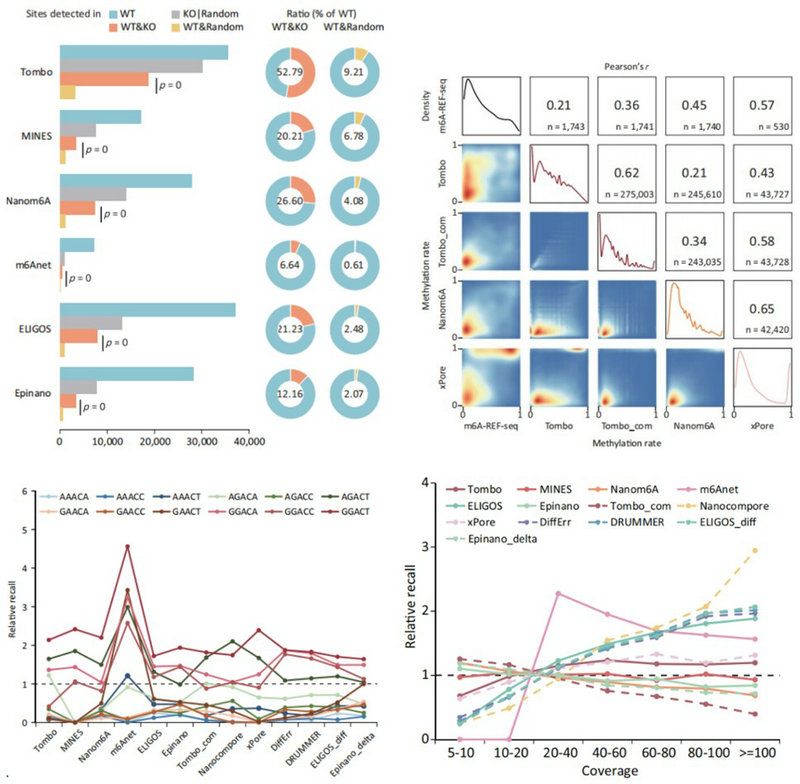 C9082AF4FD30EC9D23EECC13A0F_2F46375E_17C73
