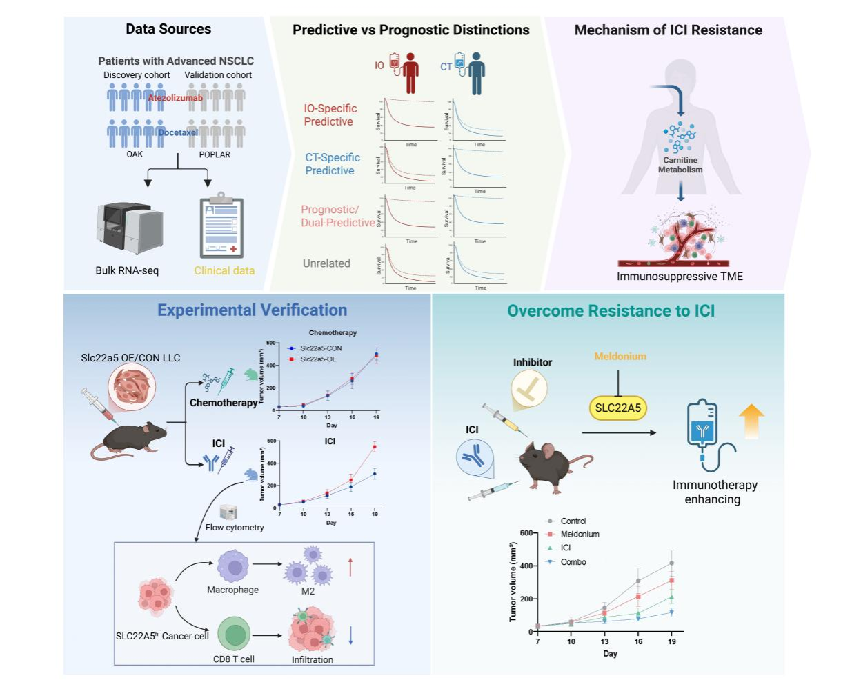 ��ҳ|ng������Ϸ�й����Źٷ���վ